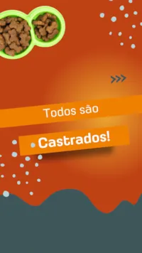 Gato raça SRD-ViraLata idade 2 anos nome Frajola