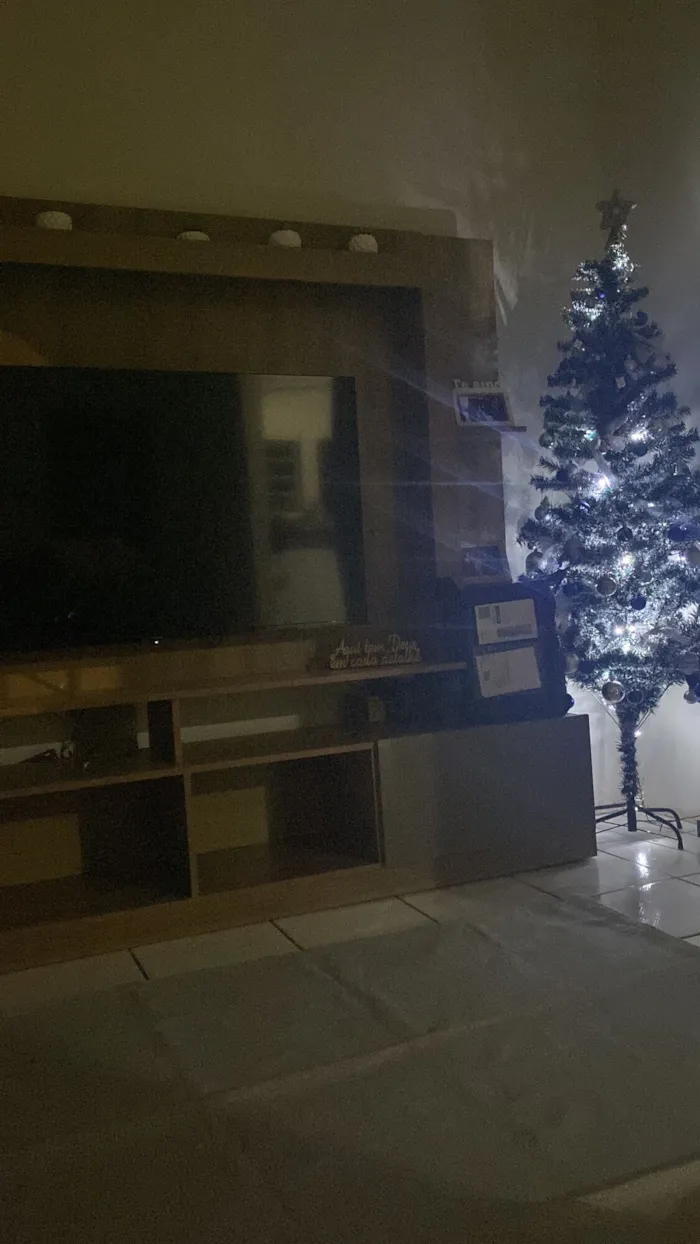 Gato raça SRD-ViraLata idade 2 a 6 meses nome 2 gatas  e 1 gato 