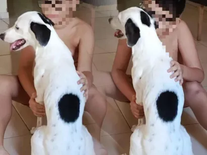 Cachorro raça SRD-ViraLata idade 2 a 6 meses nome Penelope