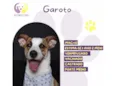 Garoto 