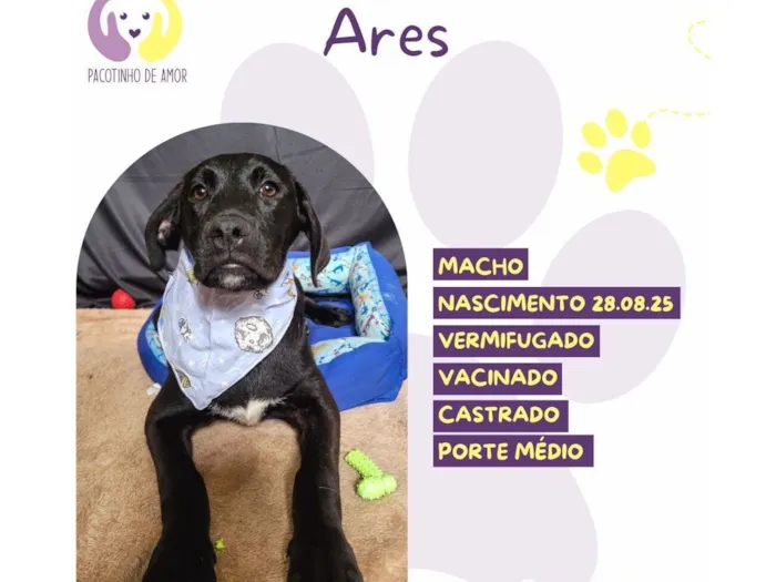 Ares 
