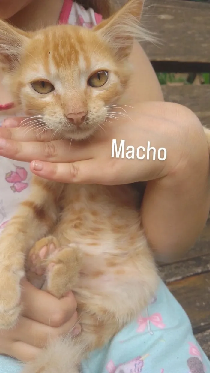 Ainda não tem nomes