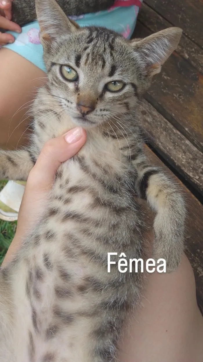 Ainda não tem nomes