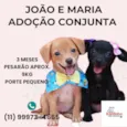 João e Maria 