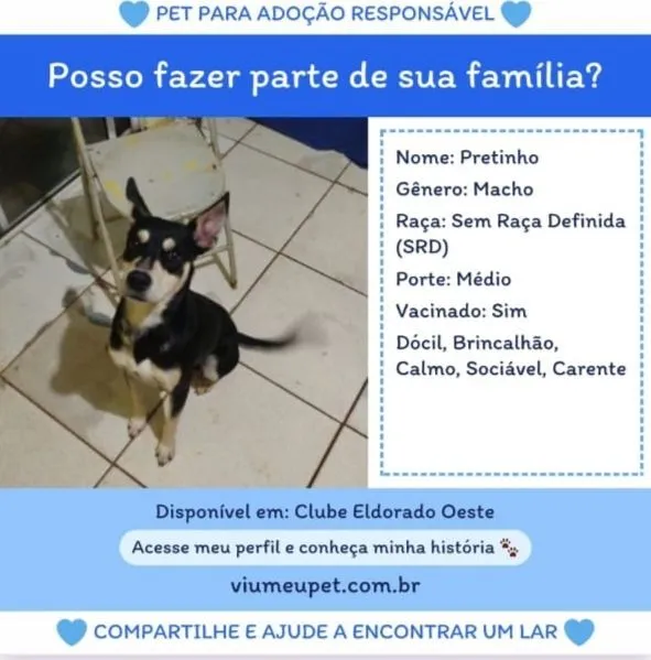Cachorro raça SRD-ViraLata idade 2 anos nome Pretinho