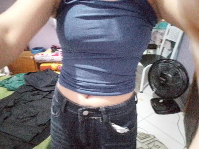 Cachorro raça Pinscher idade 4 anos nome Blitz