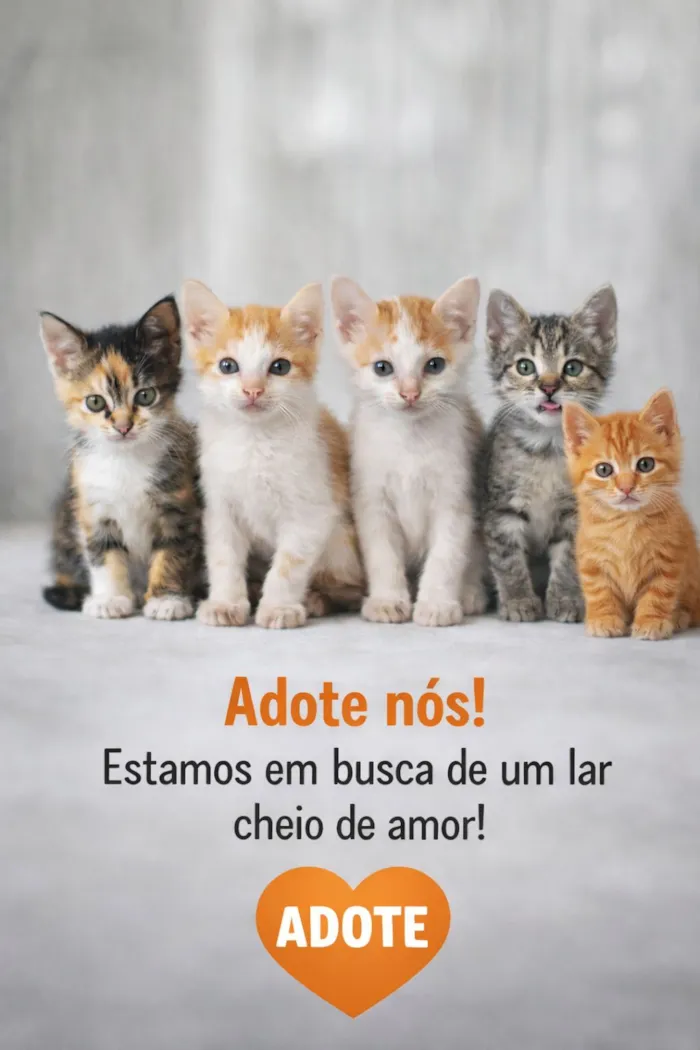 Gato raça SRD-ViraLata idade 2 a 6 meses nome Nome não definido 