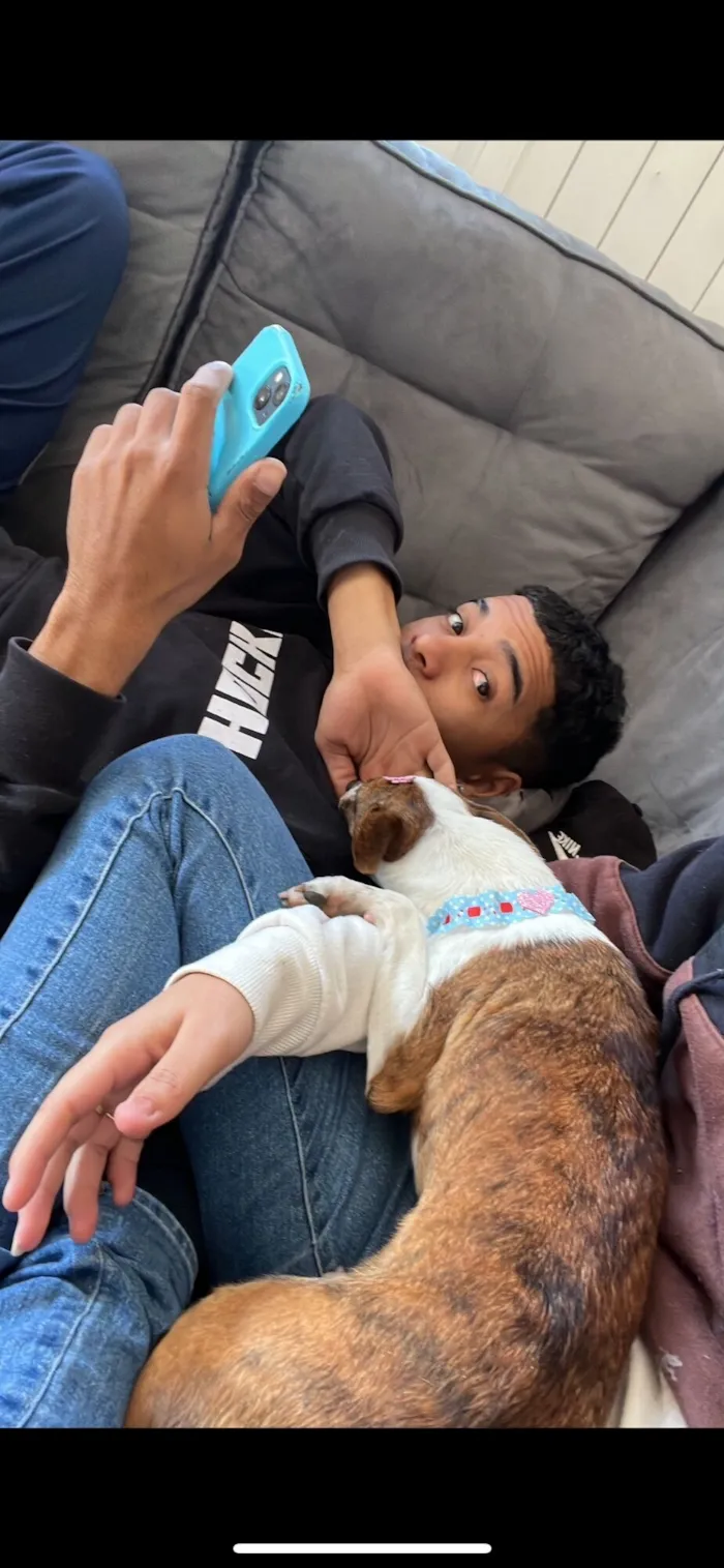 Cachorro raça SRD-ViraLata idade 5 anos nome rayka