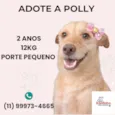 Polly