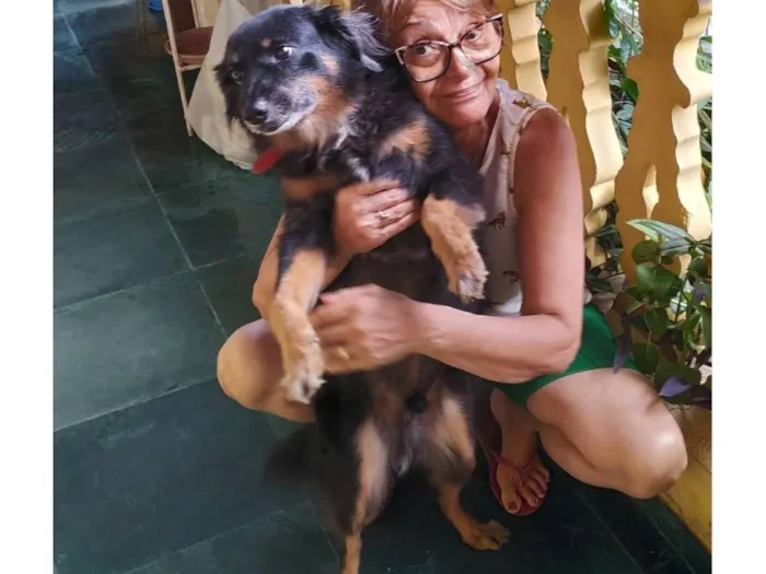 Cachorro raça SRD-ViraLata idade 5 anos nome Bololô 