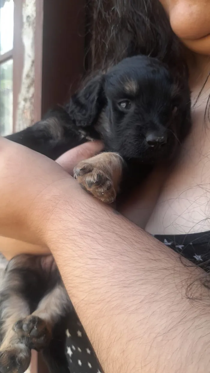 Princesa (não sabemos o nome dela)