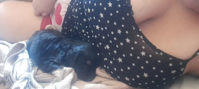 Princesa (não sabemos o nome dela)