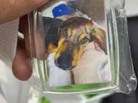 Cachorro raça SRD-ViraLata idade 2 a 6 meses nome Penélope 