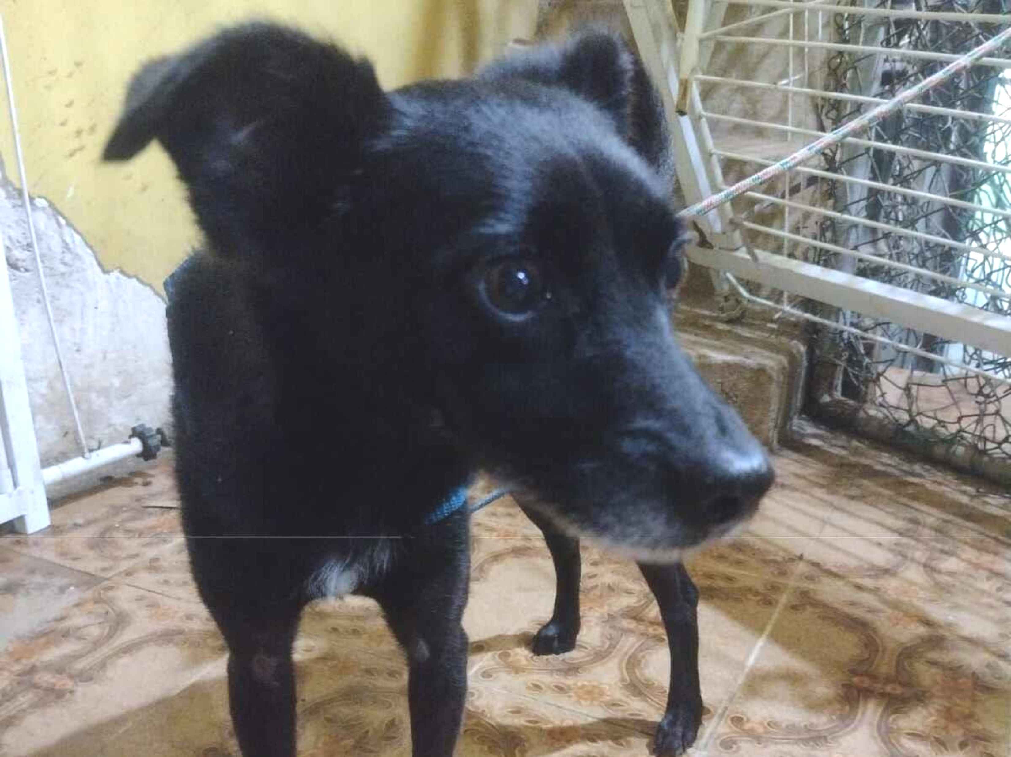 Lola - São Paulo