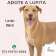 Lupita