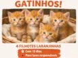 Gato raça SRD-ViraLata idade Abaixo de 2 meses nome Doa se 4 gatinhos filhotes 