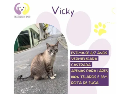 Cachorro raça SRD-ViraLata idade 6 ou mais anos nome Vicky
