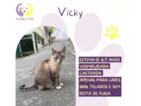 Cachorro raça SRD-ViraLata idade 6 ou mais anos nome Vicky