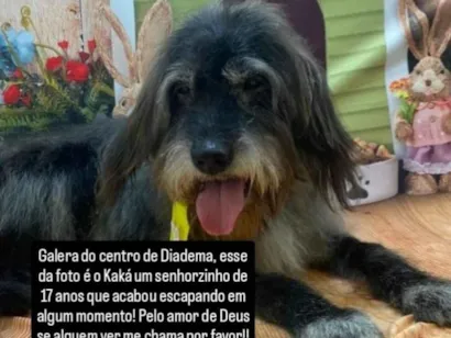 Cachorro raça SRD-ViraLata idade 6 ou mais anos nome Kaká 