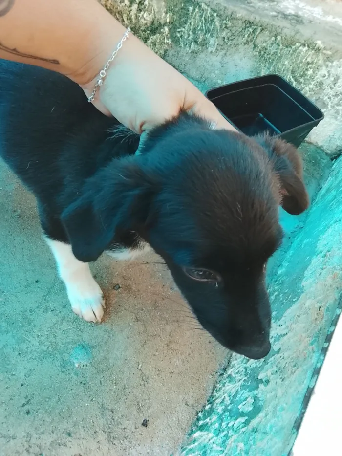 Não tem nome específico 