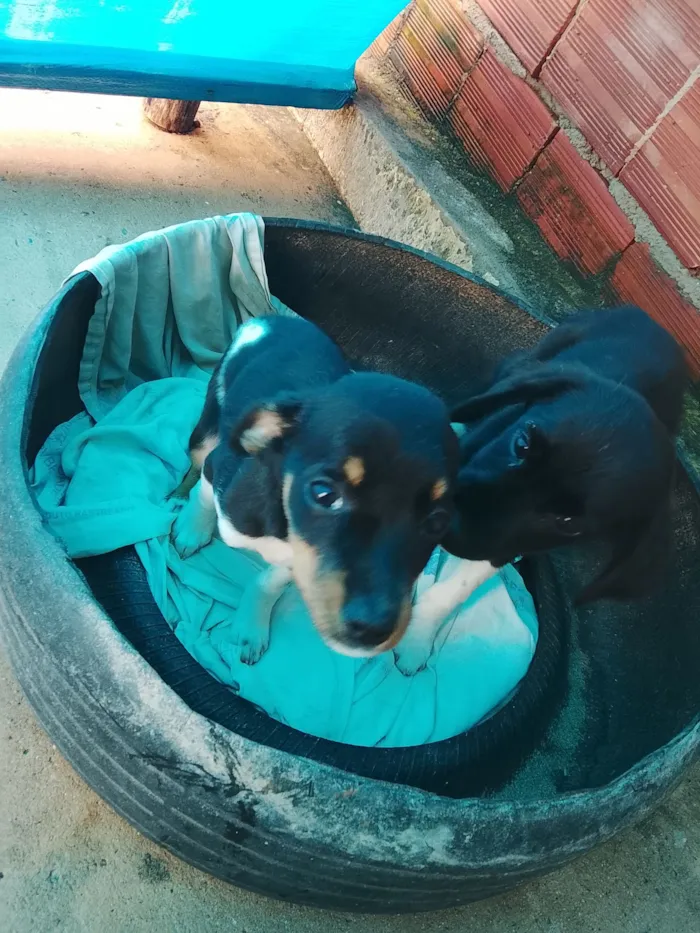 Não tem nome específico 