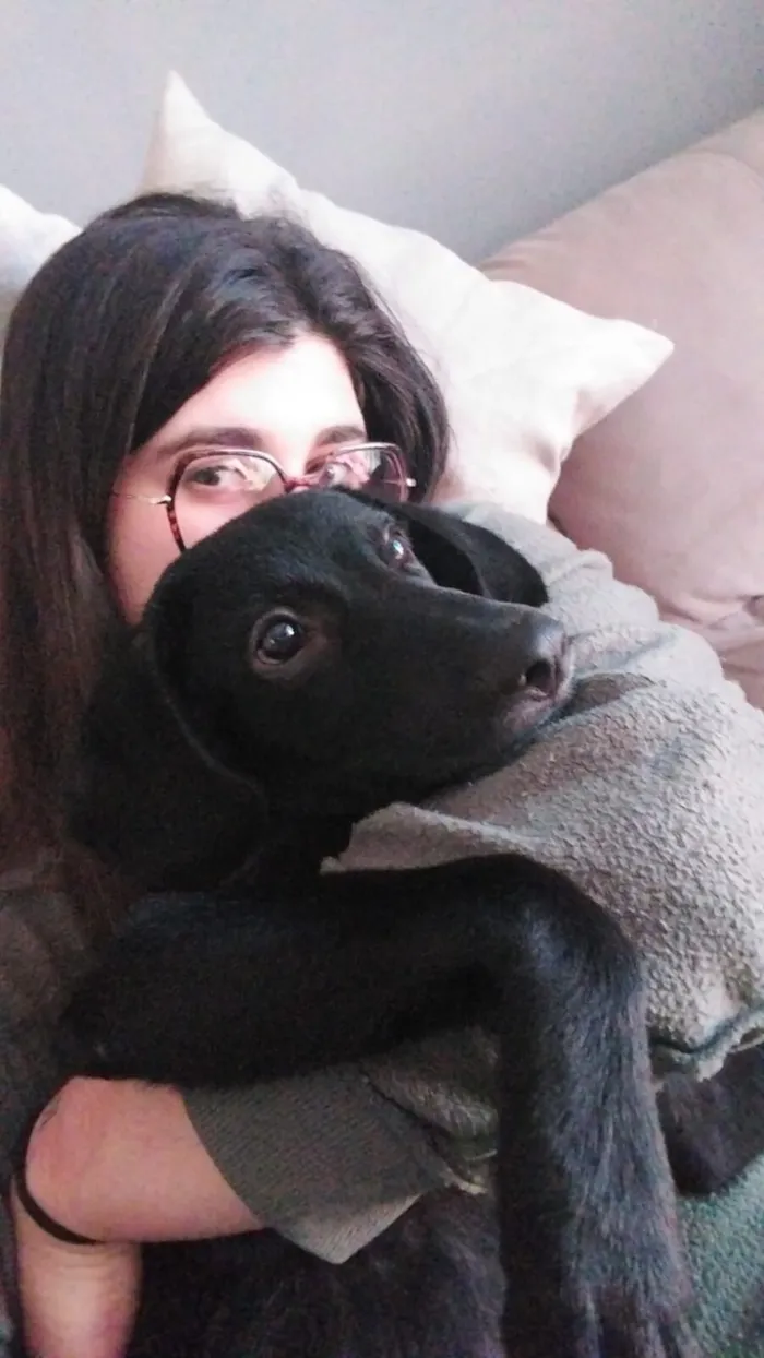 Cachorro raça SRD-ViraLata idade 2 a 6 meses nome Cookie