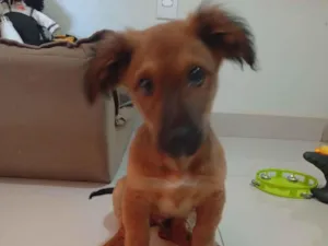 Ben(Benedito  Barbosa)