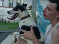 Cachorro raça Dálmata idade 7 a 11 meses nome violeta 