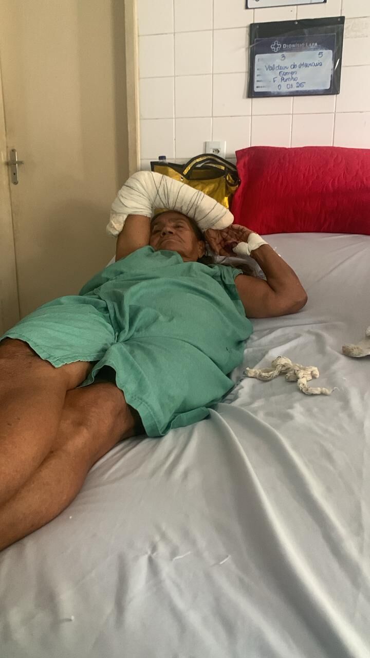 Cachorro raça SRD-ViraLata idade 5 anos nome Lobinho 