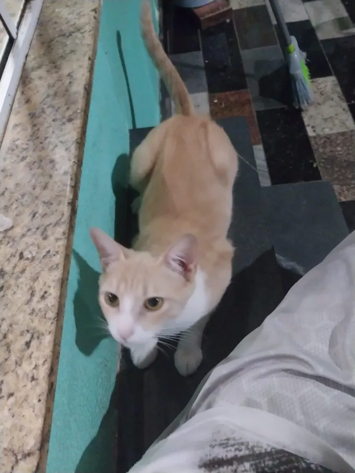 Rosinha e a mãe Mel