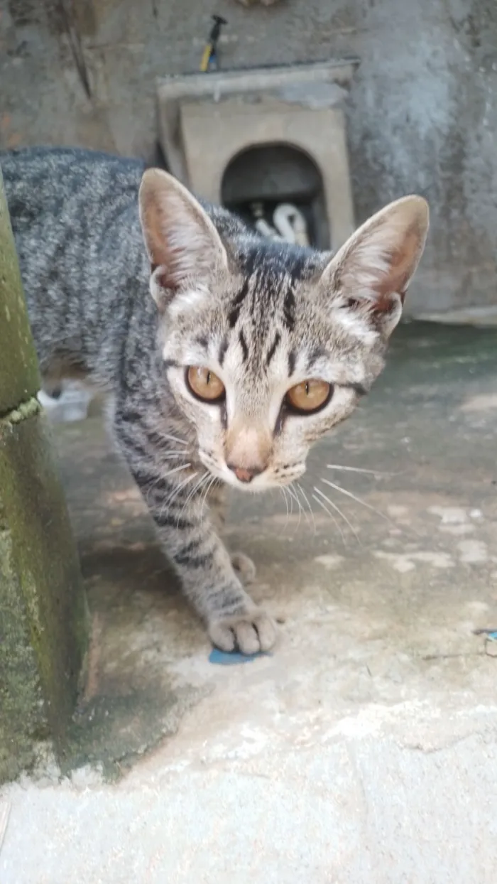 Apelidada de bonitinha