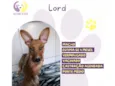 Lord