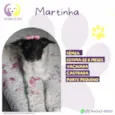 Martina 