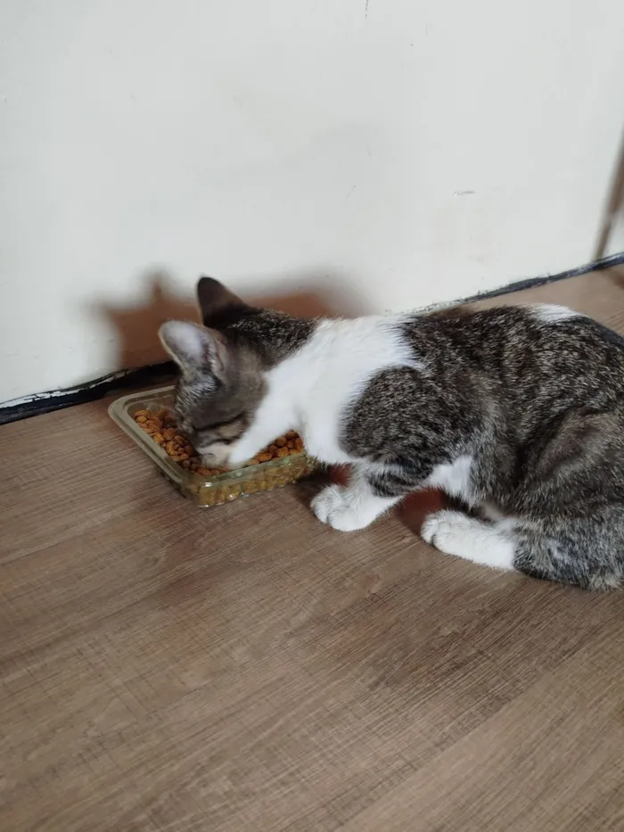 Nathalia Matos Costa de Souza