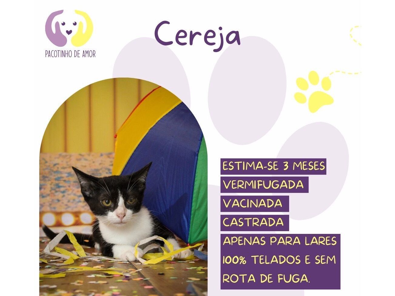 Cachorro raça SRD-ViraLata idade 2 a 6 meses nome Cereja 