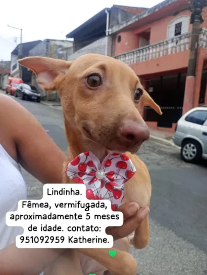 Lindinha