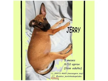 JERRY