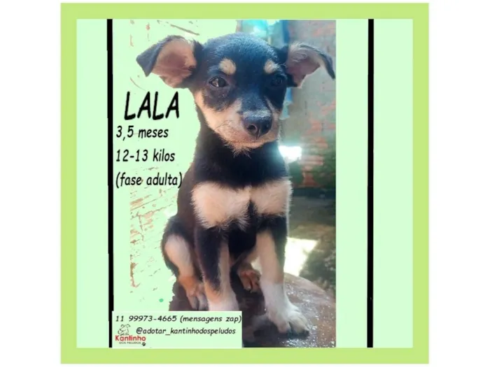 LALA