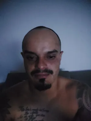 Cachorro raça Pastor Alemão idade 2 a 6 meses nome DANILO DA COSTA FRAZAO