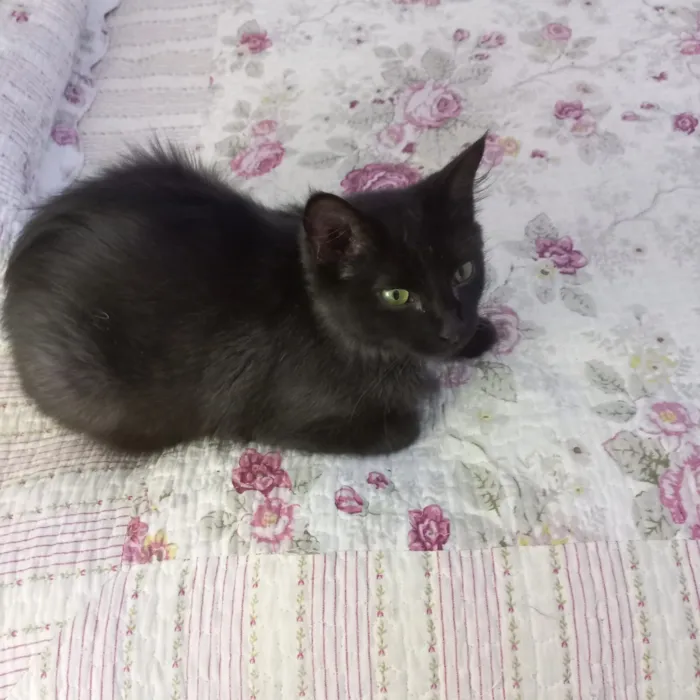 Jiji bb10 meses linda e super FOFA