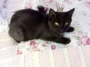 Jiji bb10 meses linda e super FOFA