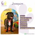 Joaquim