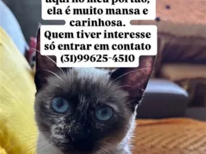 Ela não tem  nome ainda