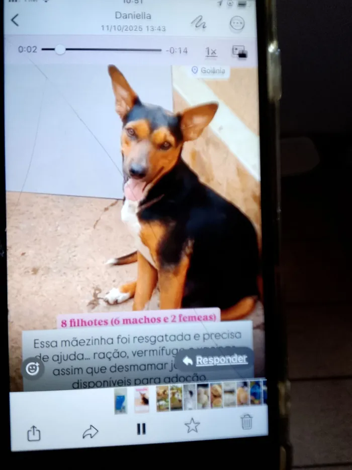 Mãezinha e os outros não tem nome 