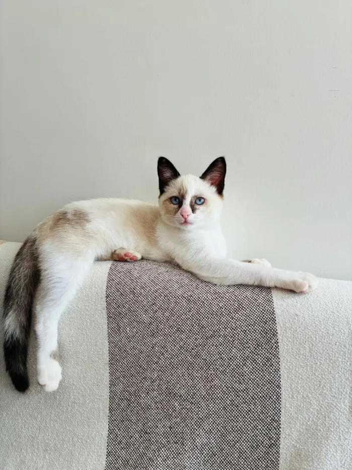 Rosiane Ribeiro Santos