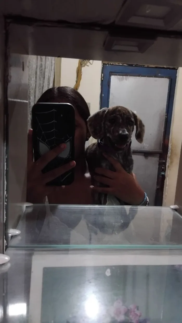 Cachorro raça SRD-ViraLata idade Abaixo de 2 meses nome Maggie 