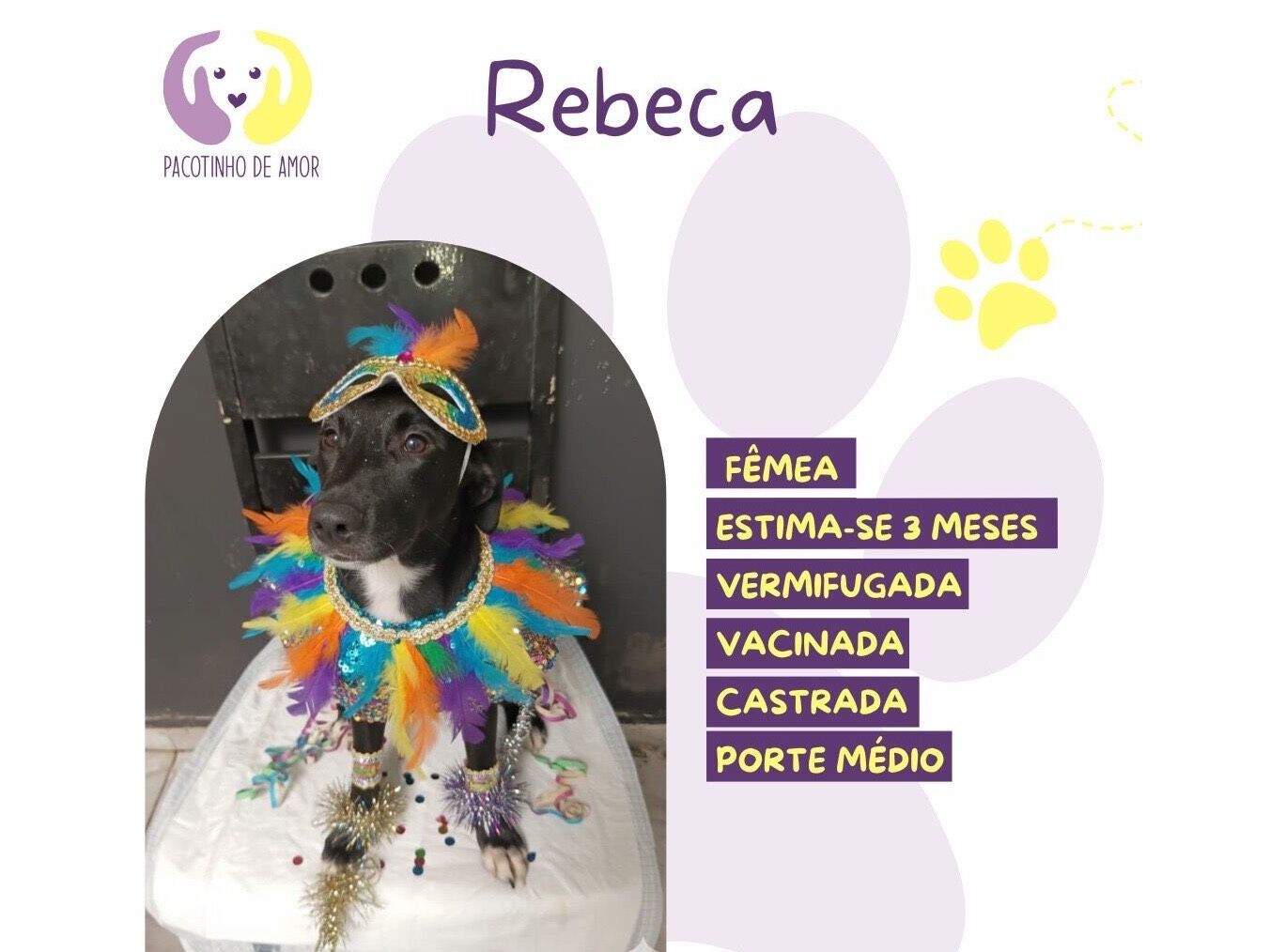Cachorro raça SRD-ViraLata idade 2 a 6 meses nome Rebeca 