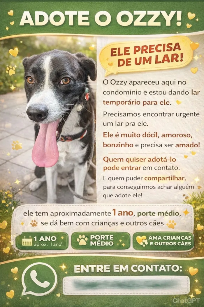 Cachorro raça SRD-ViraLata idade 1 ano nome Ozzy