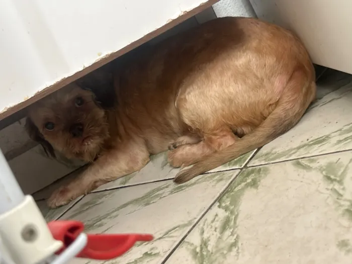 Não sei o nome porque o encontrei na rua