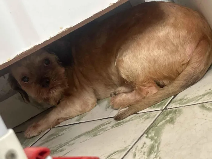 Não sei o nome porque o encontrei na rua